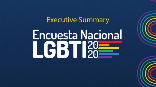 cover exec summary eng LGBTI survey domrep