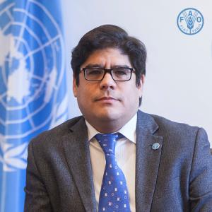 Rodrigo Castañeda - FAO